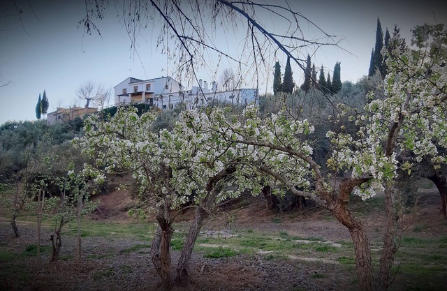 Self catering Cortijo El Capricho for 7 people