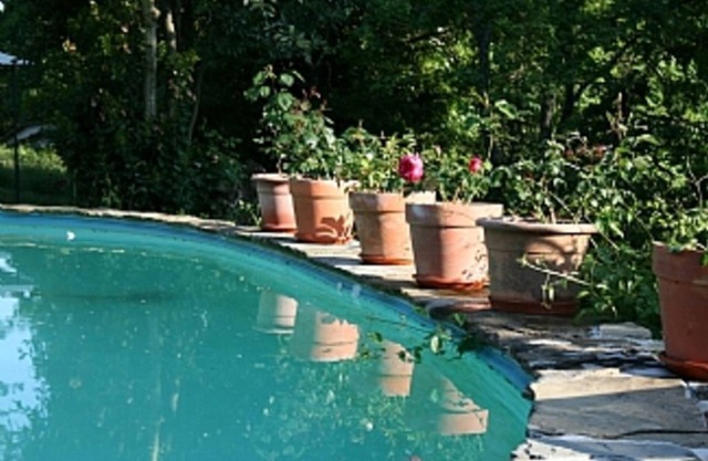 Self Catering Cottage With Swimming Pool