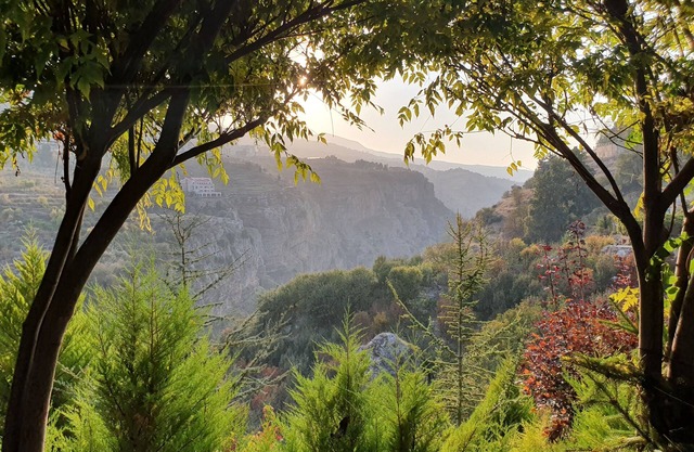 SEQUOIA GUESTHOUSE