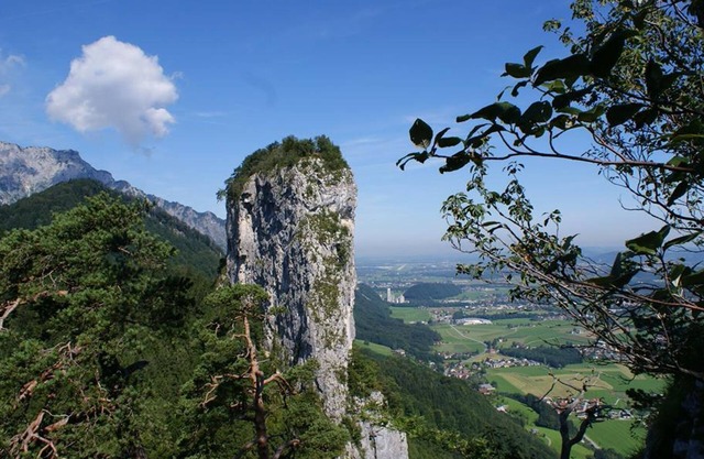 Serviced apartment de luxe - 60 m² - 3 p. - Hotel Apartment Camping Das Au-Gut