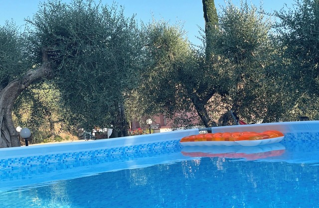 Shelter among olive trees, Tuscan countryside, a stone's throw from characteristic cities