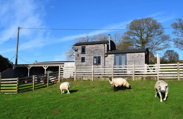 SHEPHERDS CABIN AT TITTERSTONE, pet friendly in Clee Hill