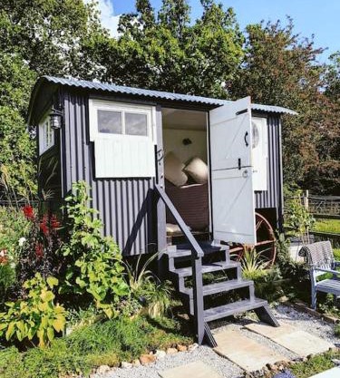 Shepherds hut with Alpaca views
