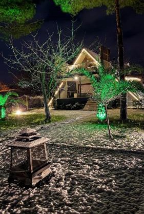 Shore of Sapanca Lake Çatı Villa Lakehouse