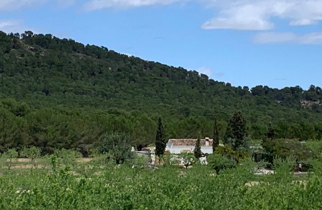Sierra Espuña Rural House surrounded by nature (pet friendly)