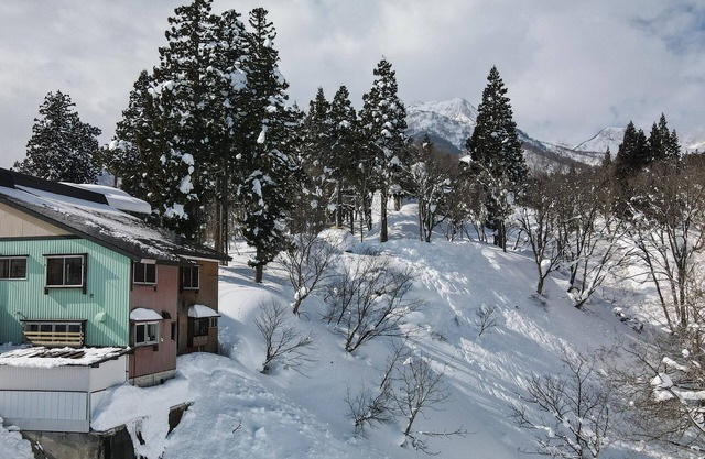Ski In Ski Out Myoko! Luxury 5 Bedroom Chalet