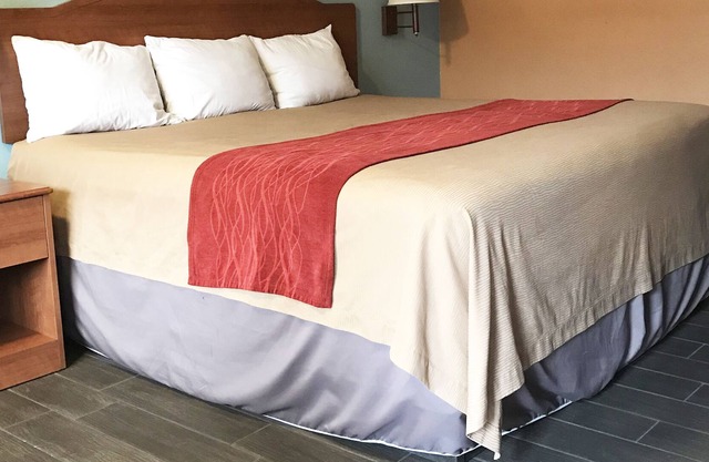 Sky Palace Inn & Suites By Jasper Laredo- 1 King Accessible Non Smoking