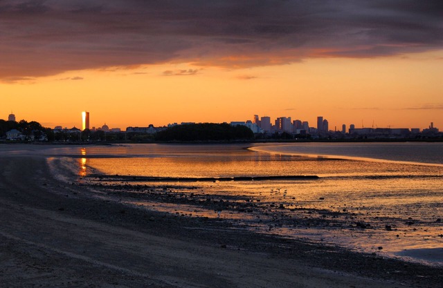 Skyline & Beach View 1 BR w/Parking!