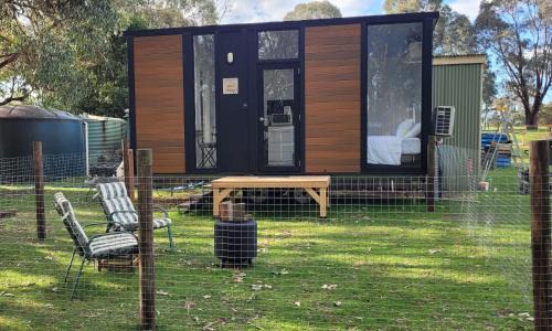 Sleeping Amongst Animals by Tiny Away