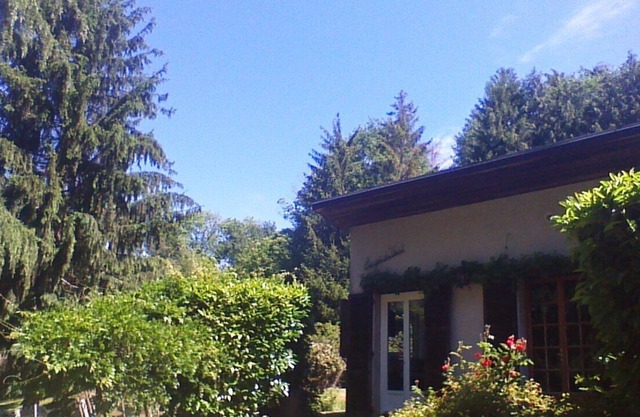 Small house with large plot 1/2 Hectares