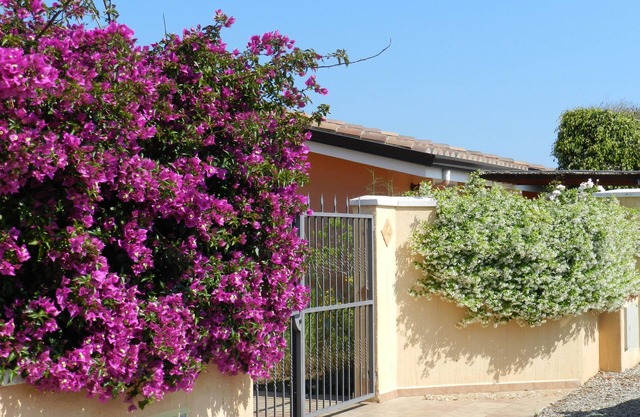 Small house with enclosed garden 400m walk from the beach