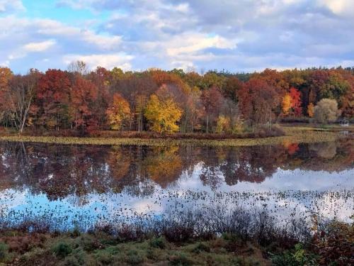 Smitten in da Mitten - 18 acres, Arcades, High Spd Web, Hot Tub, Pond!