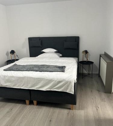 SMP LIPOVEI