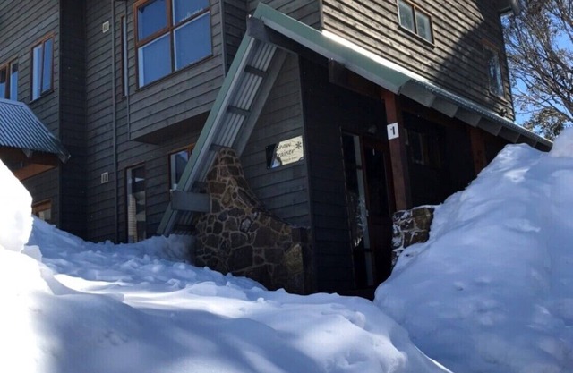 Snow Brainer-dog friendly