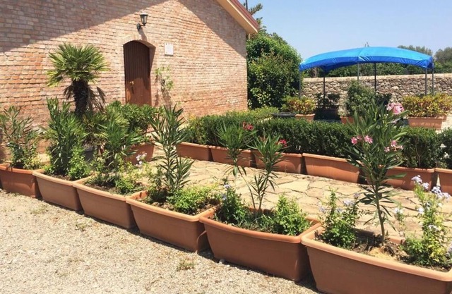 Società Agricola MG Florplant