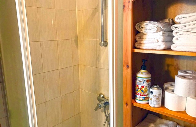 SOL MONTERA, CARLOS V APARTMENTS -GRAN VIA - PARKING -FREE WIFI - AIR CON.