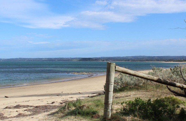 Somers from the treetops - 200m to the beach