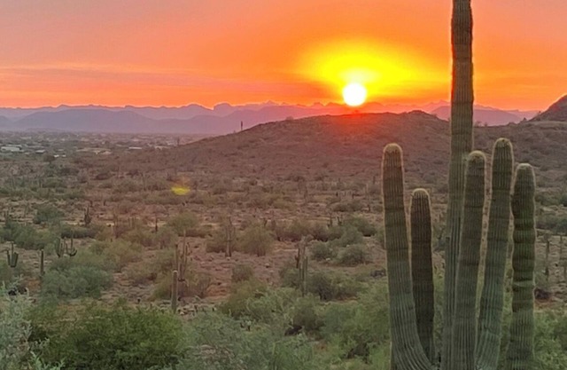 Sonoran Desert retreat, amazing views & secluded. Heated pool option.