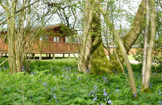 South Winchester Lodges