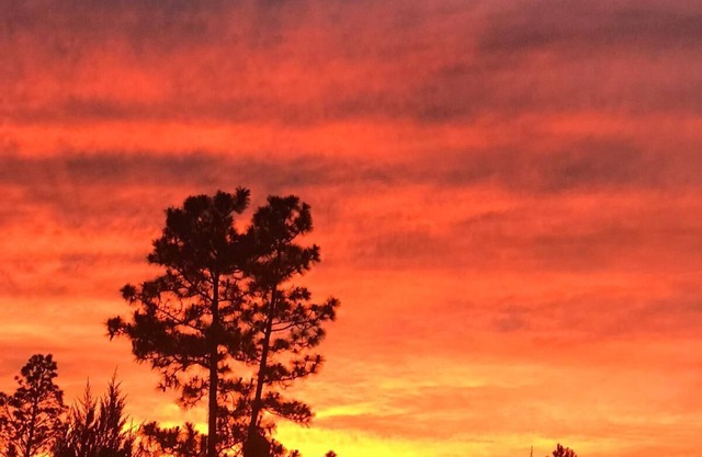 Spaceous home available during Masters Tournament