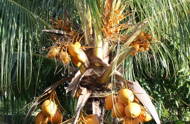 Spacious 2 bedroom, 1 bathroom, sleeps 5, family friendly cottage