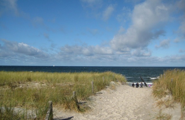 Spacious apartment right on the beach/Baltic Sea, secluded location, in the dunes