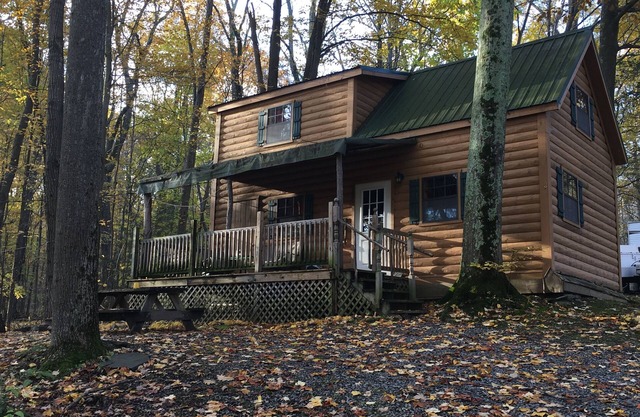Spacious cabin perfect for romantic escapes and family vacations!