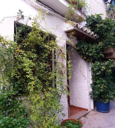 Spacious comfortable house in Quesada with balcony