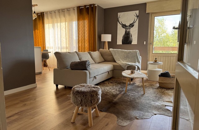Spacious and bright apartment in Font Romeu