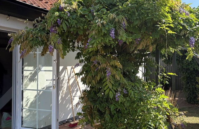 Spacious house in Kåseberga near Ales Stenar