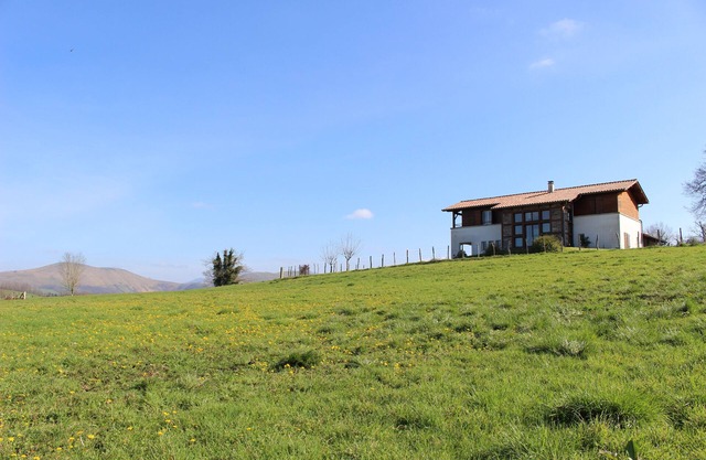 Spacious house with garden