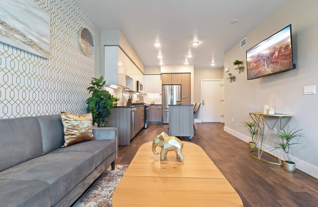 Spacious Luxury Apartment in Heart of Bay Area