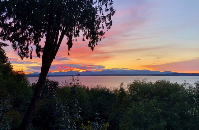 Spacious Romantic Salish Sea View Suite on Luxury Seattle Estate