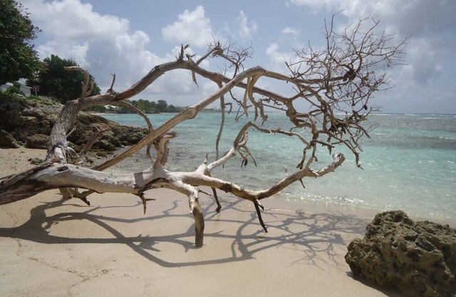 spacious T2 with direct access to the beach