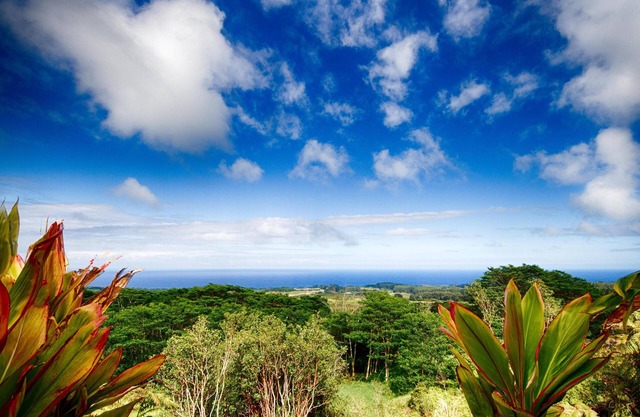 Spectacular Views and Natural Beauty
