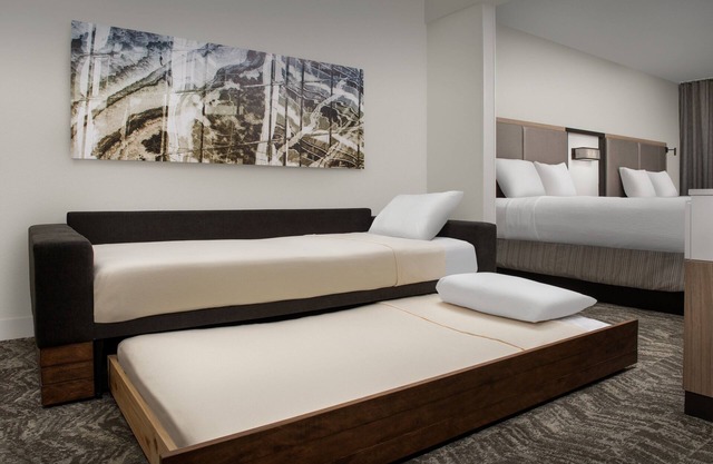 SpringHill Suites by Marriott Atlanta Buford/Mall of Georgia