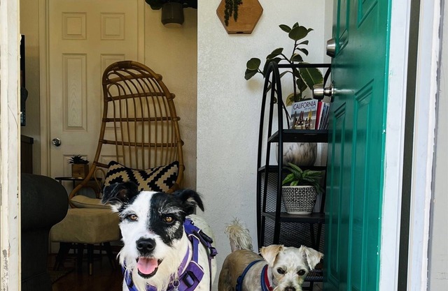 Springtime Escape – Discounted beach cottage!