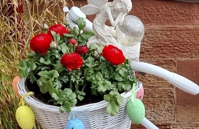 St Leonards Guest House