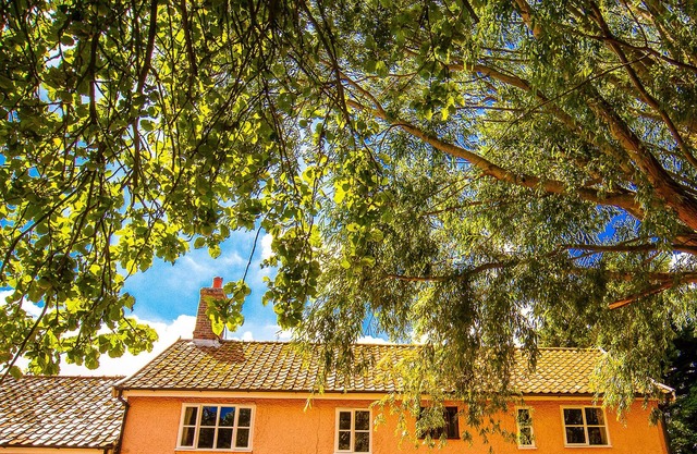 ST MICHAEL'S COTTAGE, pet friendly in St Michael South Elmham