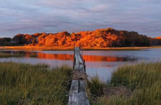 Steps away from Craigville Beach. Riverfront! Your own private bird sanctuary!