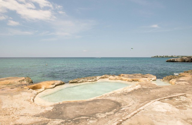 Stingray Beach Studio