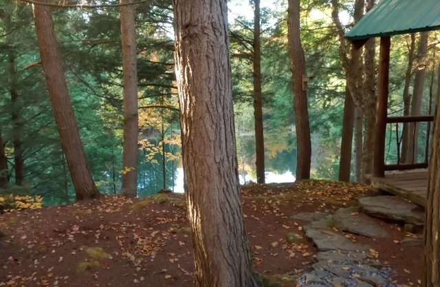 Stowe Adventure! Private Forest & Lake, Comfortable, 5 mins to town