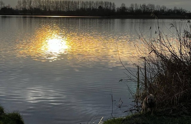 Strand, zee, duinen en bollenvelden. Een unieke plek om te genieten.
