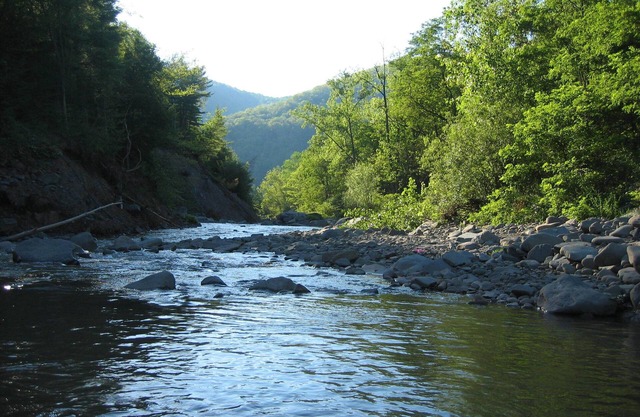 Streamside Catskill Mountain House