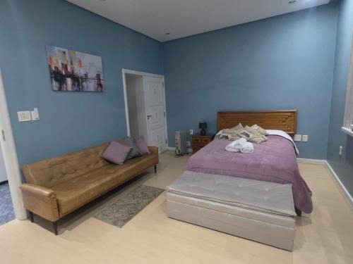 Studio Dolmens 355 Palácio Quitandinha