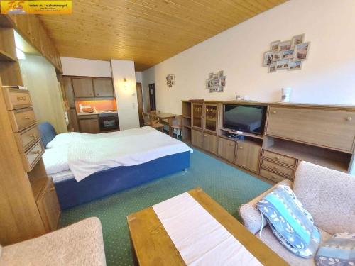 Studio in Bad Mitterndorf - Steiermark 37017