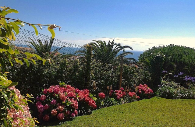 Studio Independent with tranquil garden