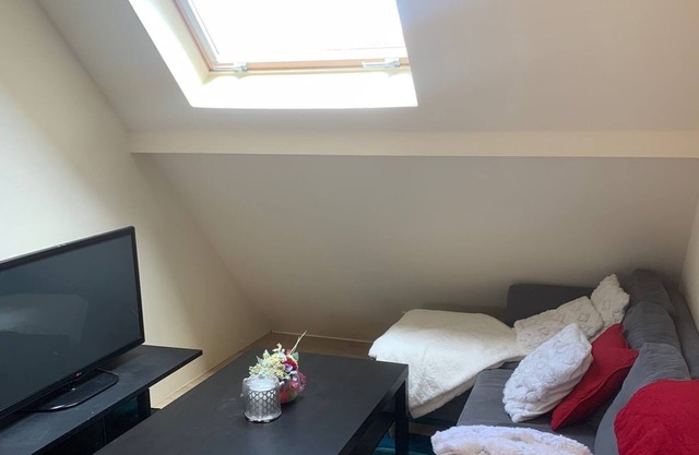 Studio Meublé Avec une Mezzanine Dans une Maison