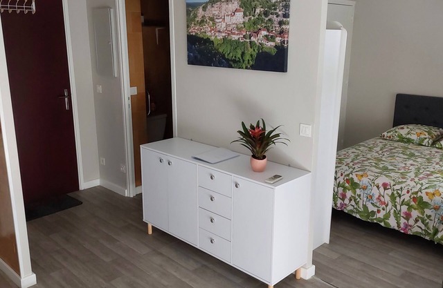 Studio type T2, hypercentre, furnished with air conditioning and parking