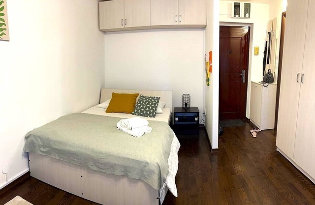 Studio Victoriei - Central Location with AC